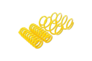 ST Suspension Lowering Springs w/ Electronic Suspension - Ford Mustang GT 2015+