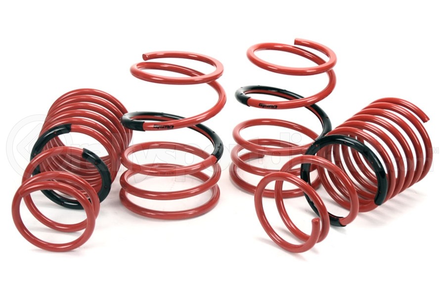 Tanabe GF210 Spring Kit (Part Number: TGF107) Tanabe GF210 Spring Kit (Part Number: )