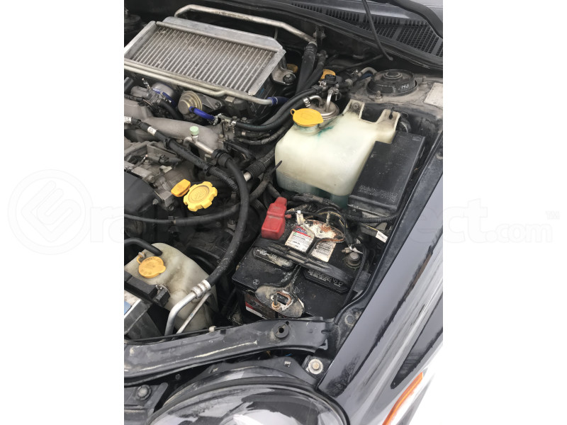 Mishimoto Battery Tie Down Blue (Part Number: MMTD-SUB-BL) User Media for: Mishimoto Battery Tie Down Blue - Universal