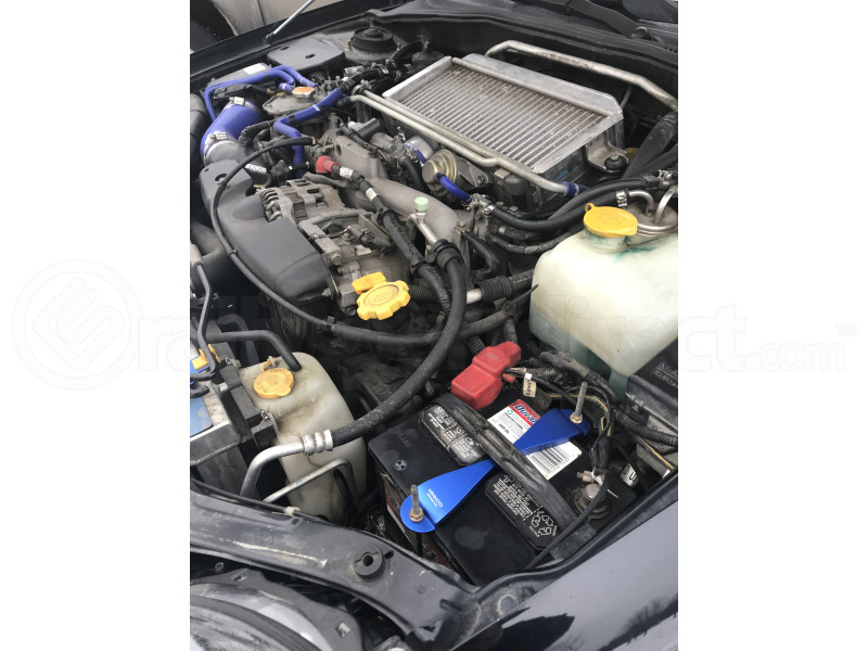 Mishimoto Battery Tie Down Blue (Part Number: MMTD-SUB-BL) User Media for: Mishimoto Battery Tie Down Blue - Universal